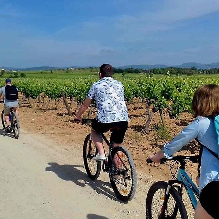 Tina De Vila, En La Capital Del Vino Вилафранка дел Пенедес Екстериор снимка